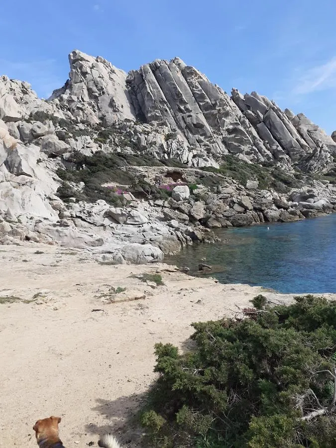 casa rosa nel residence mirice con piscina - vicino al mare Aglientu Casa vacanze
